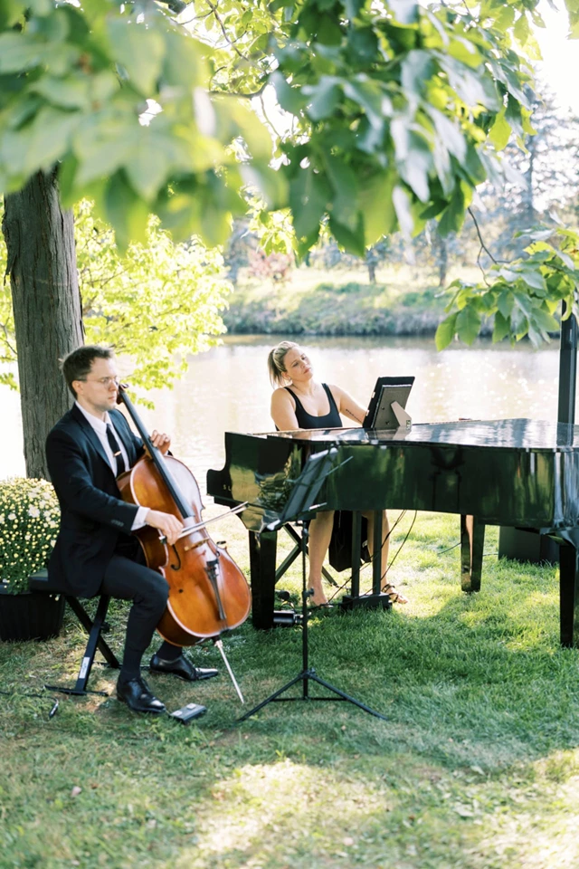 Live Music & Bands: The Fox Music 3