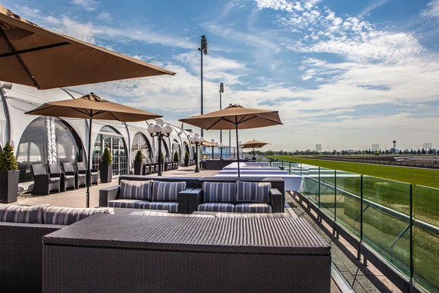 Entertainment Venues: Woodbine Racetrack 4